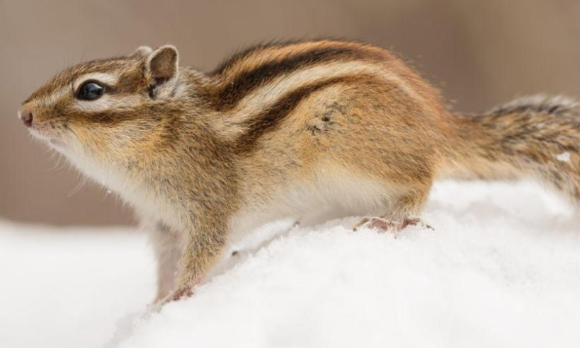 丽栢家具广场 - 首页轮播图4