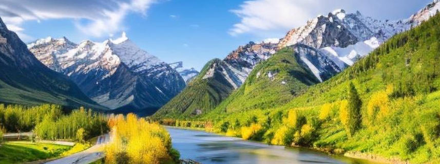 丽栢家具广场 - 首页轮播图2